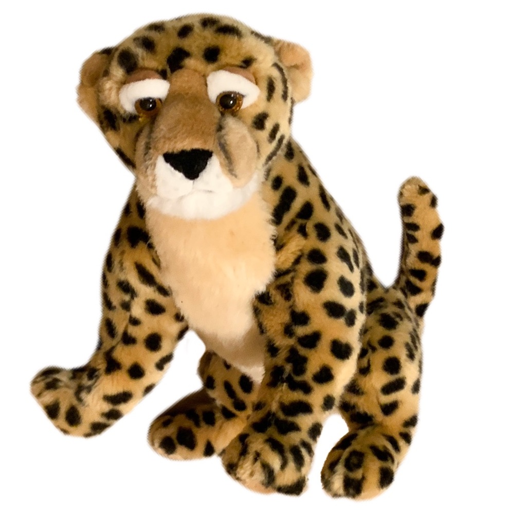 Sitting cheetah cub by Aurora